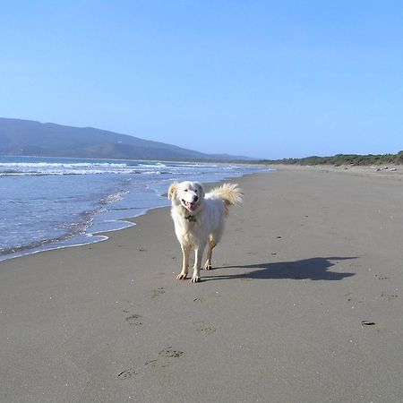 Agriturismo Grazia オルベテッロ エクステリア 写真