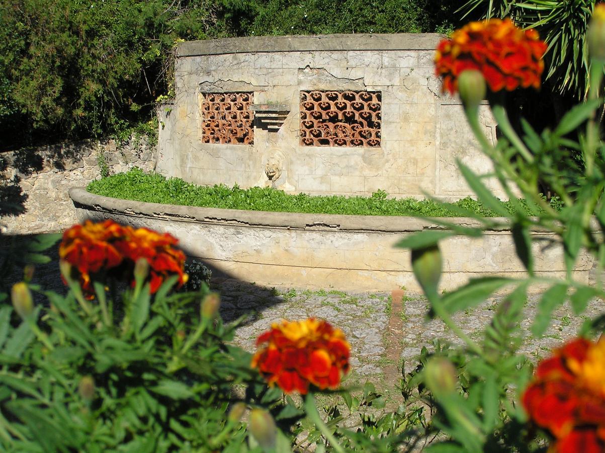 Agriturismo Grazia オルベテッロ エクステリア 写真