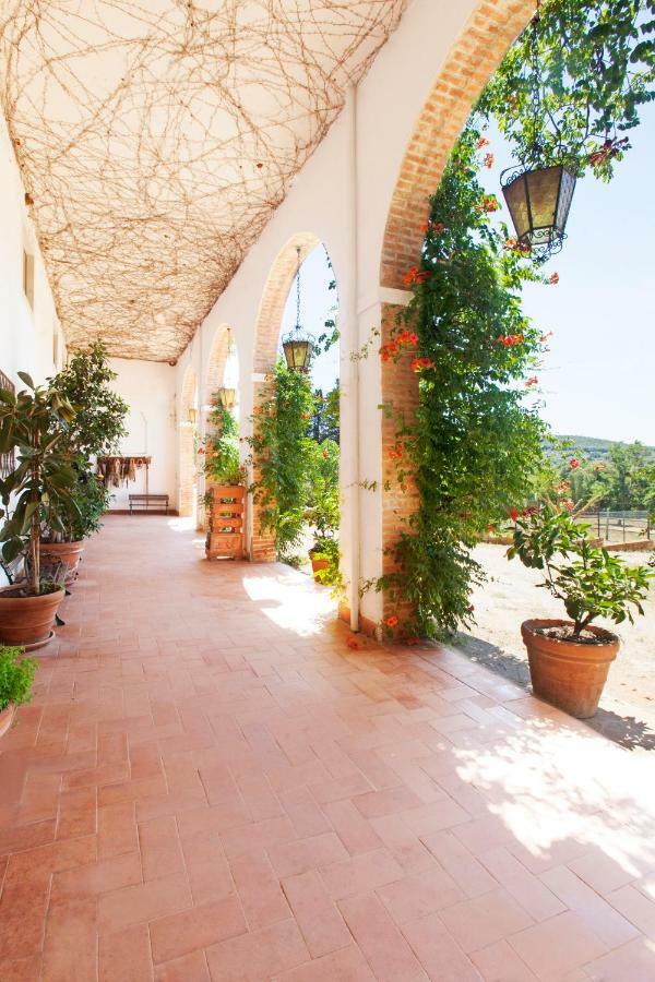 Agriturismo Grazia オルベテッロ エクステリア 写真