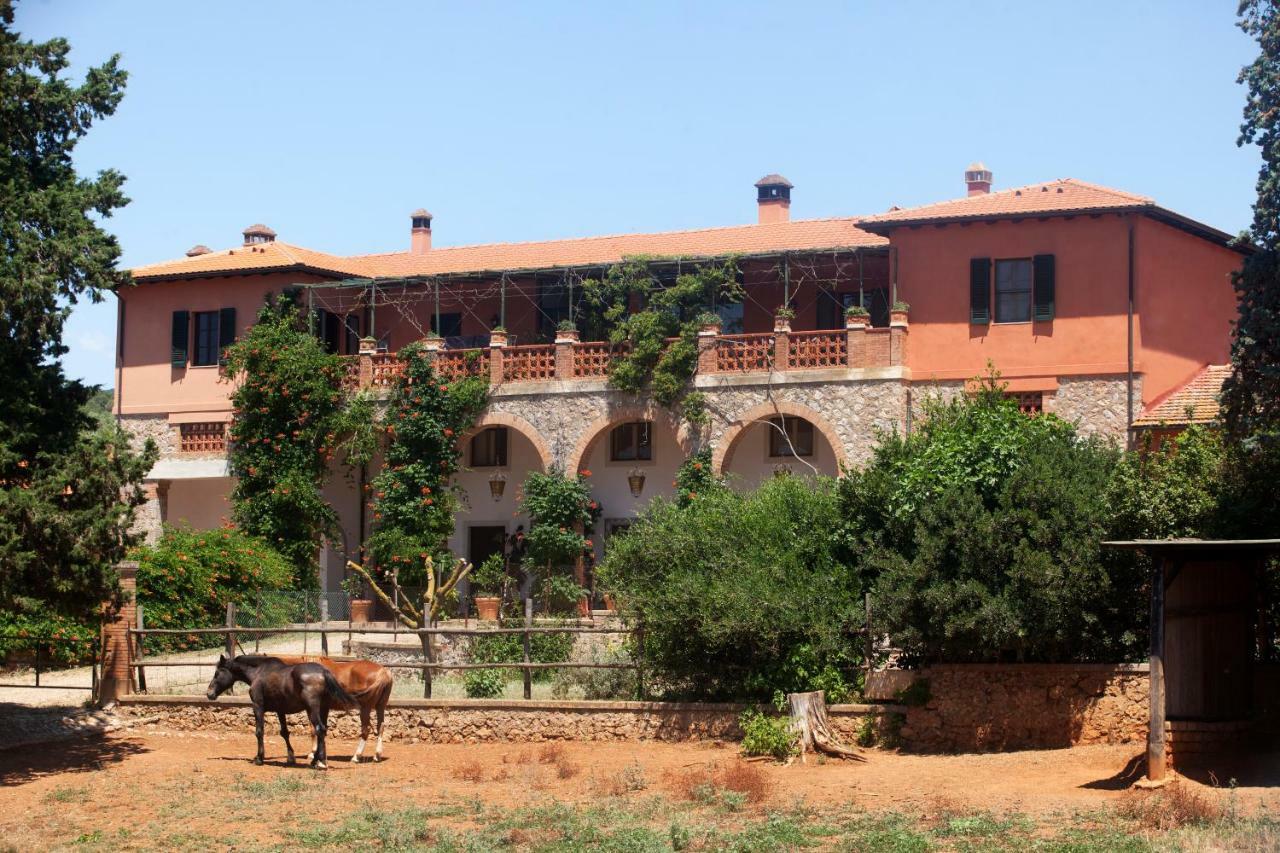 Agriturismo Grazia オルベテッロ エクステリア 写真